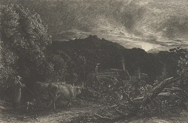 The Weary Ploughman, eller The Herdsman, eller Tardus Bubulcus, började i