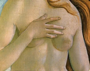 Venus födelse