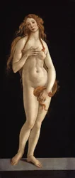 Tyska: Venus Venus