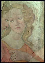 Venus och de tre gracerna som erbjuder gåvor till en ung flicka, detalj av en av gracerna, ca 1483, freskodetalj