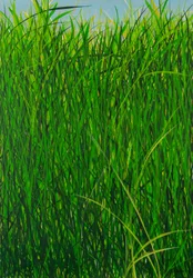 Summer Grass, 2020 (akryl på duk)
