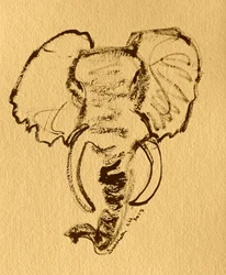 Skiss av afrikansk elefant
