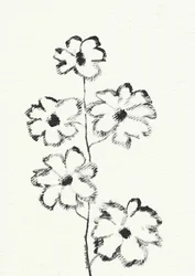 Blomsterskiss i kol