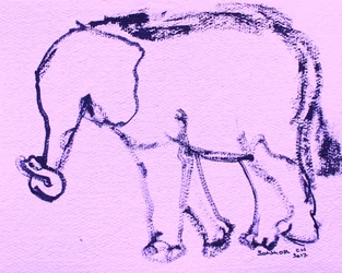 Teckning av en nyfiken elefant
