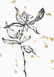 Skir blomsterskiss