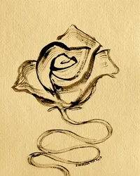 Elegant flödande ros