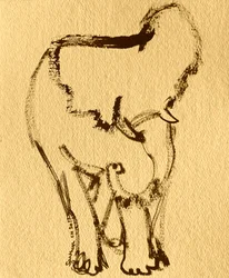 Expressiv elefantteckning