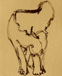 Mild elefant i tusch