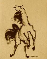 Häst 24