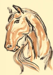 Majestätisk hästprofil