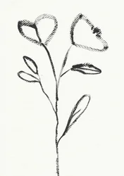 Minimalistisk blomsterskiss