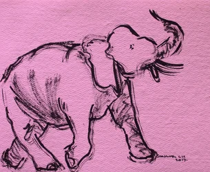 Skiss av en rosa elefant