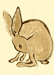 Tyst skogskanin