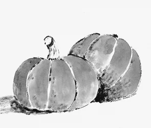 Rustika höstpumpor