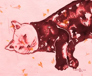 Den sovande röda katten