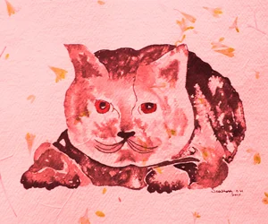 Den fantasifulla rosa katten