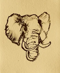 Teckning av vild elefant