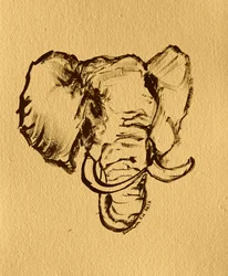 Skiss av vild elefant