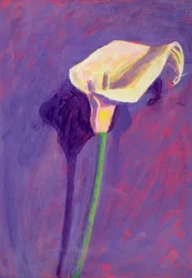 Kalla