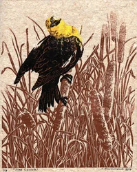 Cattail Cantata, 2017 (linoleumsnitt)
