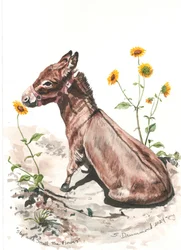 Stop and Smell the Flowers, 2024 (akvarell på papper)