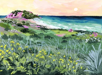 Solnedgång vid Wild Coast