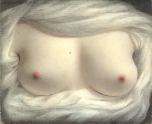Avslöjad skönhet, 1828