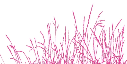 Wild Whisper, 2009 (digital)
