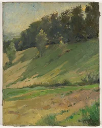Utsikt från Llandrindod Wells: The Upper Link, ca 1900 (målning)