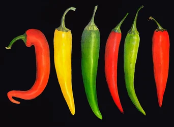Five chillies, 2024 (olja på duk)