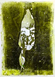 "Abstrakt blad" 2020 (monoprint)