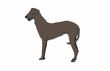 Hound, 2018, (digital teckning)