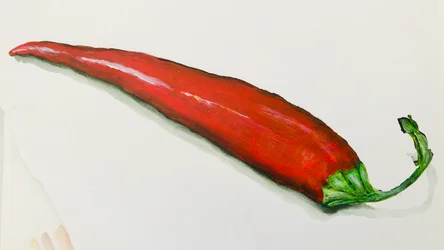 Röd chilipeppar, 2020