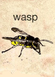 "Wasp" 2014 (monoprint)