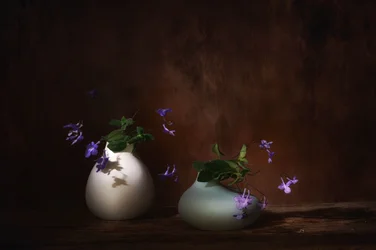 Svävande lila blommor