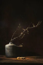 Stämningsfullt botaniskt stilleben