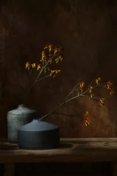 Stämningsfulla botaniska vaser