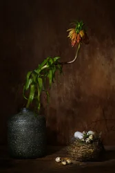 Stämningsfullt blomsterbo