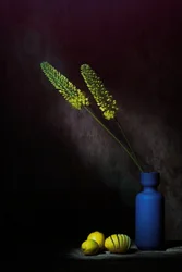 Stämningsfulla gula blommor och citroner