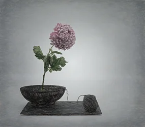 Texturerat stilleben med rosa blomma