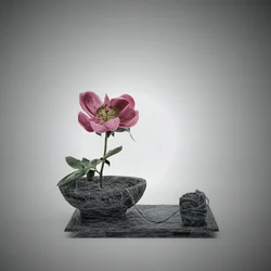 Scen med sammanflätade rosa blommor