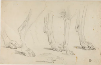 Hundtassar