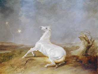 Gal häst