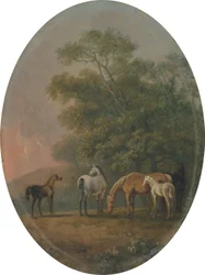 Sto och föl, ca 1770-80 (olja på metall)
