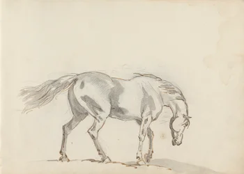 Skissbok Ritning