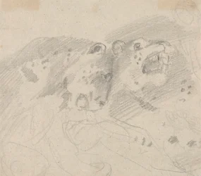 Två leoparder