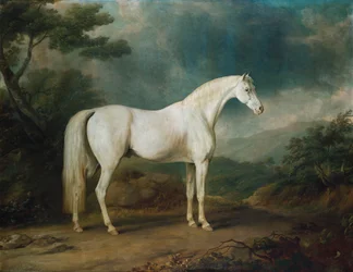 Vit häst i ett skogigt landskap, 1791