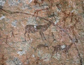 AFRIKANSK KONST: Klippmålning vid Ngomo Carera i Domboshawa Range, 20 miles nordost om... (fresco)