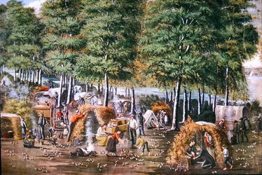 Vaktelns mirakel (litho i färg)