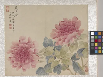 8-bladsalbum med blommor, mitten av 1700-talet (bläck och färg på papper)